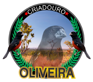 logo.png (117 KB)